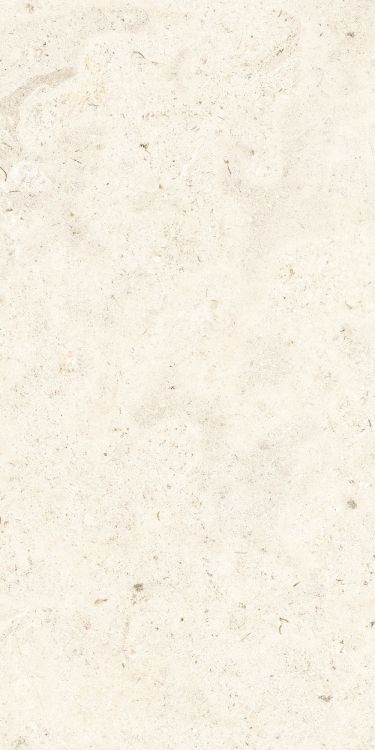 Lightstones.03 Shell Grip 24 x 48